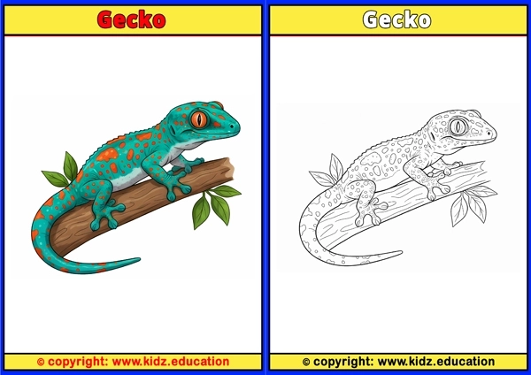 Gecko - Printable Coloring Page for Kids