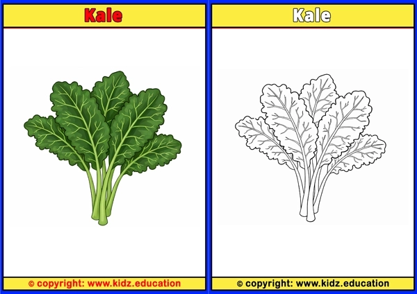 Kale - Printable Coloring Page for Kids