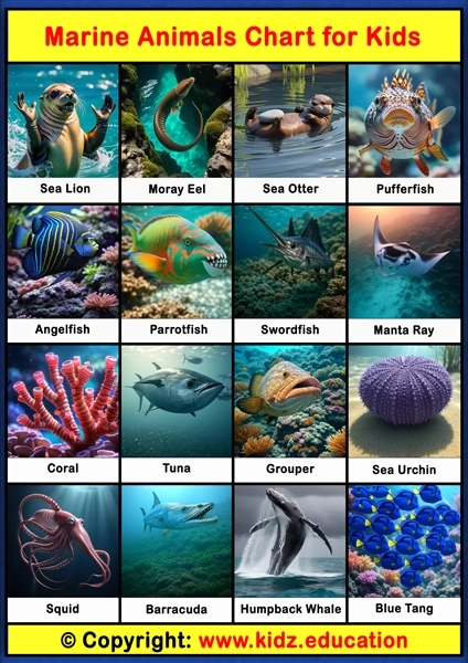 Marine Animals Chart - 2 | Printable Educational Chart for Kids