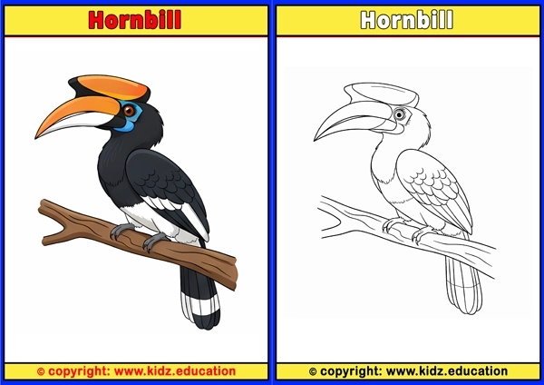 Hummingbird - Printable Coloring Page for Kids