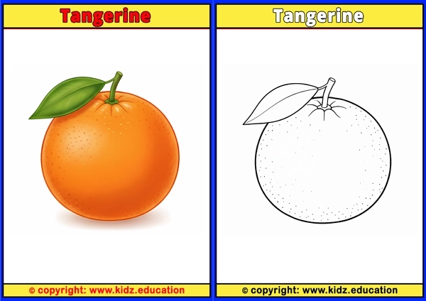 Tangerine - Printable Coloring Page for Kids