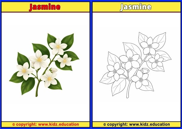 Jasmine - Printable Coloring Page for Kids