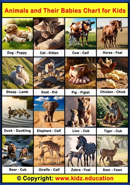 Animals and Babies Chart - 1 | Printable Educational Chart for Kids