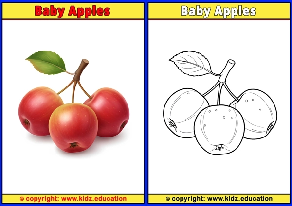 Baby Apples - Printable Coloring Page for Kids