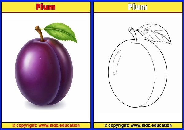 Plum - Printable Coloring Page for Kids
