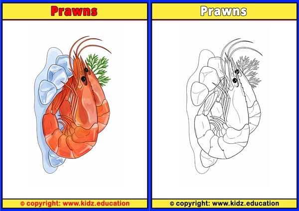 Prawns - Printable Coloring Page for Kids