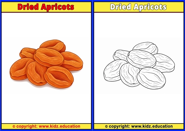 Dried Apricots - Printable Coloring Page for Kids