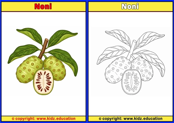 Noni - Printable Coloring Page for Kids