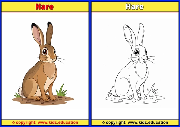 Hare - Printable Coloring Page for Kids