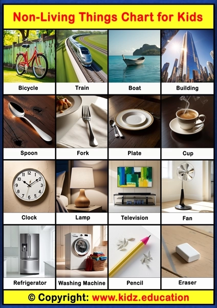 Non-Living Things Chart - 2 | Printable Educational Chart for Kids