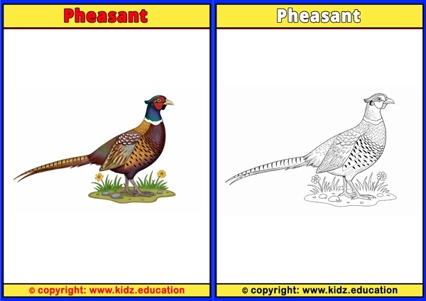 Phoenix - Printable Coloring Page for Kids