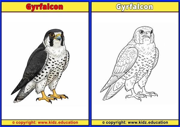 Happy Feet - Printable Coloring Page for Kids