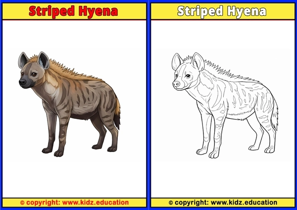 Striped Hyena - Printable Coloring Page for Kids