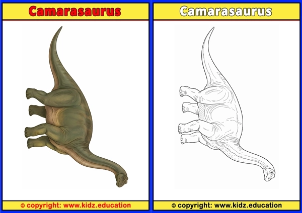 Camarasaurus - Printable Coloring Page for Kids
