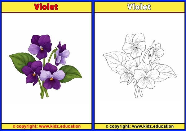 Violet - Printable Coloring Page for Kids