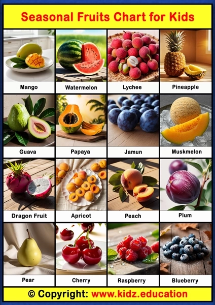 Seasonal Fruits Chart – 1 | Printable Educational Chart for Kids