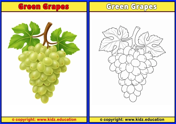 Green Grapes - Printable Coloring Page for Kids