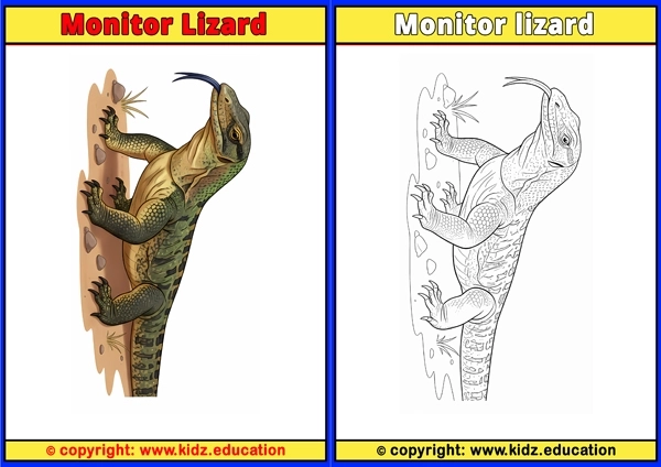 Monitor Lizard - Printable Coloring Page for Kids