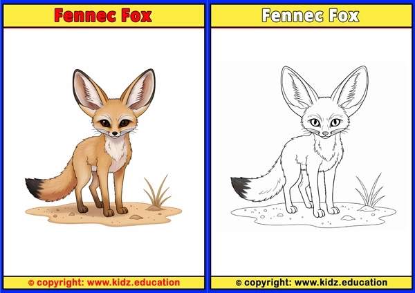 Fennec Fox - Printable Coloring Page for Kids