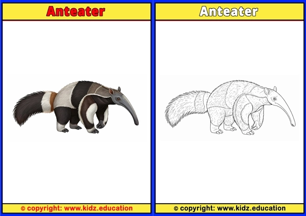 Anteater - Printable Coloring Page for Kids