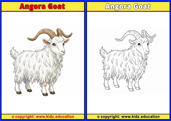 Angora Goat - Printable Coloring Page for Kids